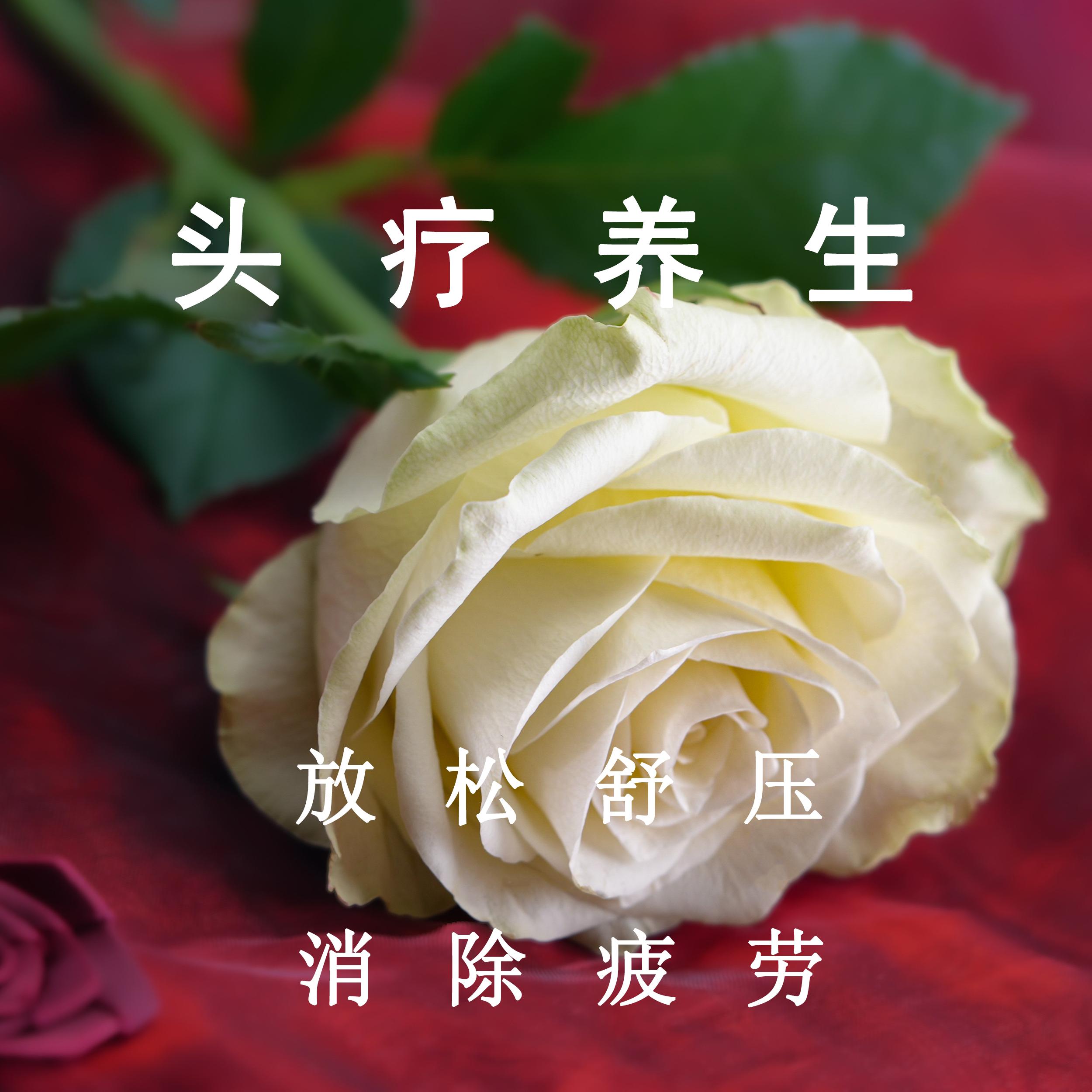 仙乐沁人心 (安静轻音乐)