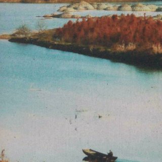 古琴|水清无滞 木素成灰：与天地精神相会