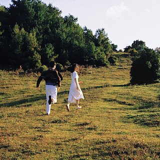 惬意漫步♪°焦糖日暮与蜜色草地