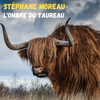 Stephane Moreau - Le retour du rêveur