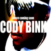 Cody Bink - Life of the Party