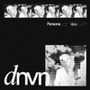 DNVN - Persona