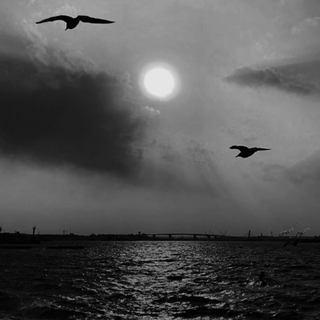 来年陌生的 是昨日做最亲的某某