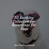 Music for Leaving Dogs Home Alone - Stress Relief