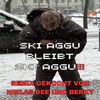 Ski Aggu - Z0RNIG [2O24] – Niklas Dee & Berky Remix