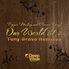Pepper MaShay - Our World, Pt. 2 (Tony Bravos Soulution Remix)