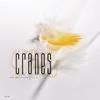 Cranes - Til Tomorrow (John Peel Session 9th July 1989)