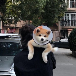 2020快手热歌合集