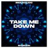 SH3RWIN - Take Me Down (feat. Iridiumaudio)