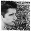 Neal Carlson - Fill a Void (Search History)