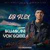 Dj Flex Ungabambeki - Makwenzeke Nkosi (feat. Dj LiiFas Vyperboiz)