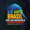 Cccn Jazz Orchestra - A Felicidade