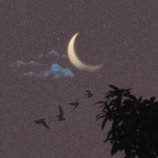 好听的歌没有完整版，就像喜欢的人没有结局