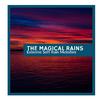 Rain Designer Nature Music Studio - Cold Moderate Rain