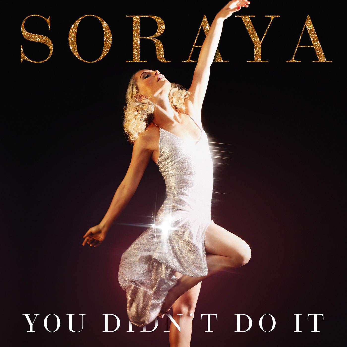 you didnt do it - soraya arnelas - 网易云音乐