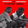 Promise Dc - Attention Remix
