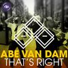 Abe Van Dam - Tough Beautiful Mind