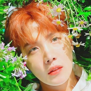 我看见春日烂漫，一切美好向我奔来