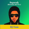 Dj Tom - Squeak (Romain Dot Live)