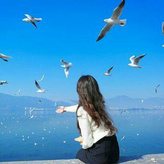 人生就像大海，只有远航才能体会一路的美景