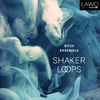 Bit20 Ensemble - Shaker Loops: I. Shaking and Trembling