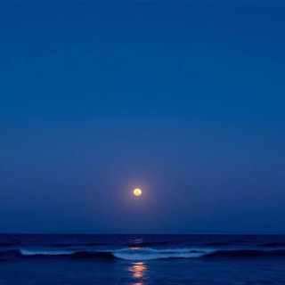 2021电音推荐丨电音有这一单就够了！