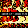 Screen Vinyl Image - The Midnight Sun
