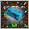 Profit Gang - HM Swag (3AM) (feat. 4Shirts, Don Villa & Illy Rose)