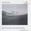 Riccardo Ricci - Flight 401 (Thurman Remix)