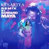Pritam - Kesariya (Edward Maya Remix)