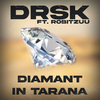 DRSK - Diamant in Tarana