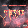 T-Stock - Stressed