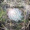 Bradshaw - Closed