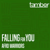 Afro Warriors - Falling for You