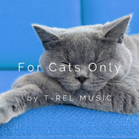 For Cats Only