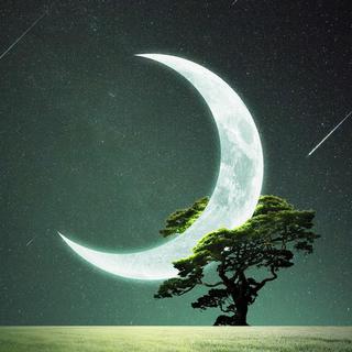 我曾踏月而来 只因你在山中