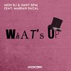 Mon DJ - What's Up