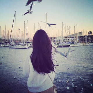 【华语】没有你的城市都是流浪