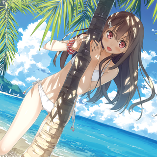 从海边吹来的风