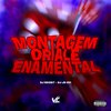 DJ RDZIN7 - Montagem Oriale Enemental