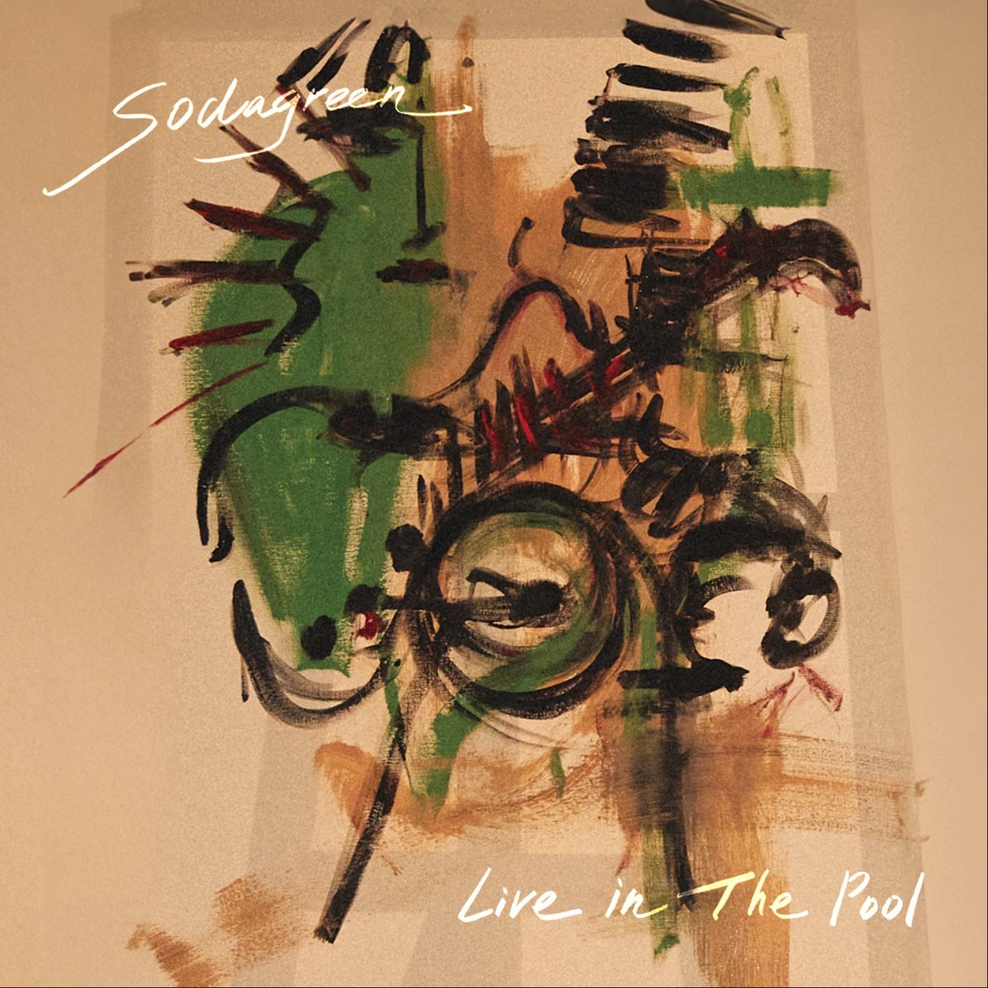 Live in The Pool 封面
