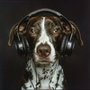 Caninos calmantes - Canciones De Trueno Para Perros Valientes