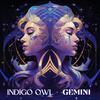 Indigo Owl - Pisces