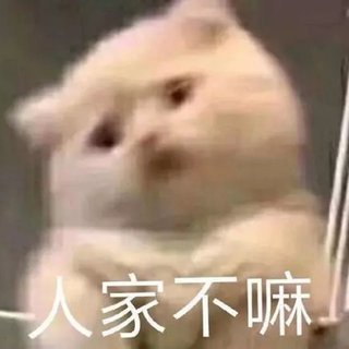 纯音杂食党，每首都有新鲜感（十五）
