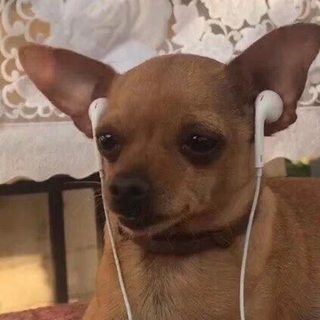 2021电音推荐丨电音有这一单就够了！