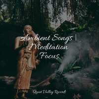 Ambient Songs | Meditation Focus