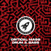 Space Yacht - Critical Mass Vol. 2 Mega Mix (Mixed by Skellytn)