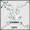 Rabbit - Birth (Radio Mix)