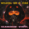 DJ Vinylgroover - Wishing On A Star