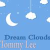Tommy Lee - Milionair